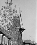 855729 Gezicht op de molen Rijn en Zon aan de Adelaarstraat te Utrecht, tijdens de restauratie, vanuit de Hopakker.